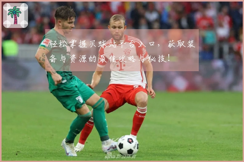 轻松掌握买球站平台入口，获取装备与资源的最佳攻略与秘技！